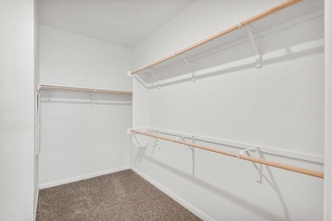 Building Photo - 2517 Violet Theo Ln