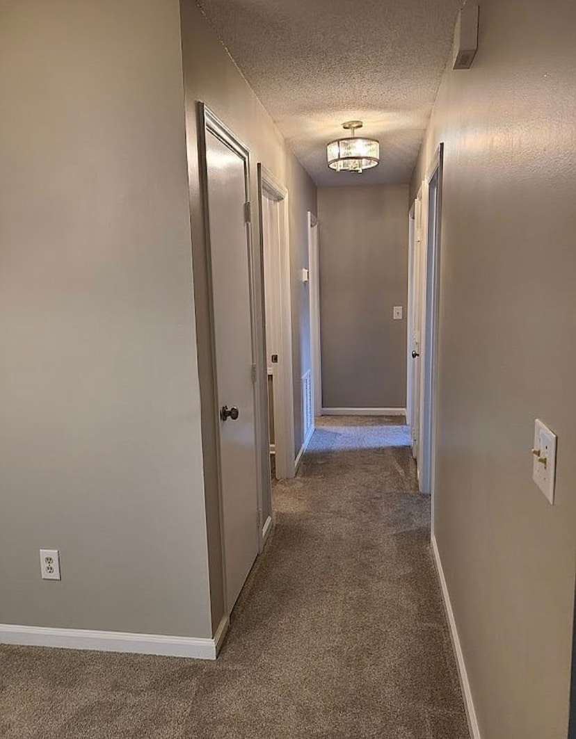 Hallway - 5661 Hornaday Rd