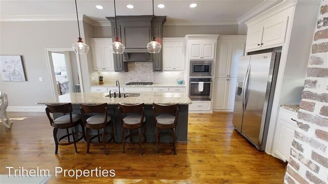 Building Photo - 4 br, 3 bath House - 901 Abundance Xing