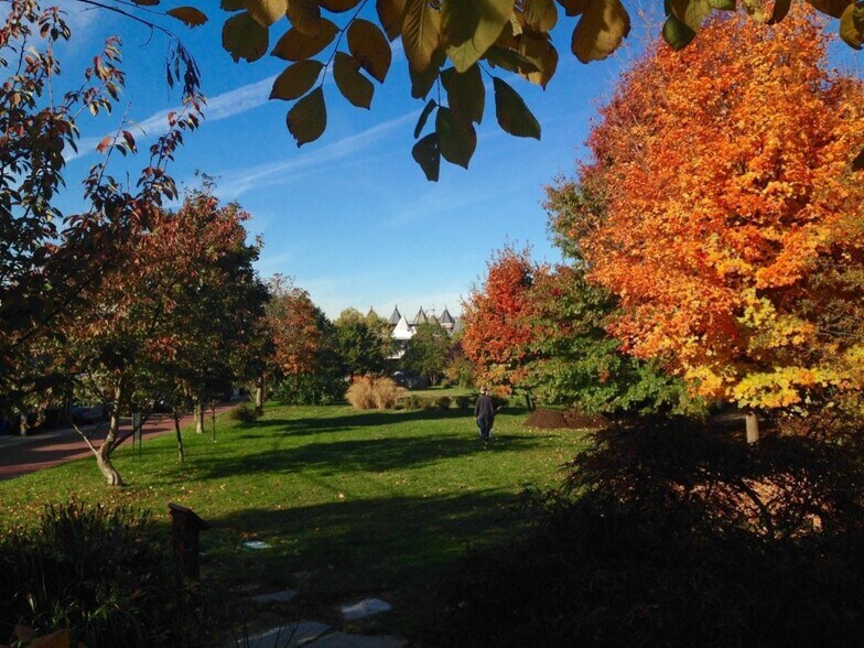 House backs up to Crispus Attucks Park - 17 U St NW
