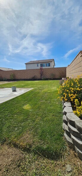 Backyard - 11386 Dunhaven Way