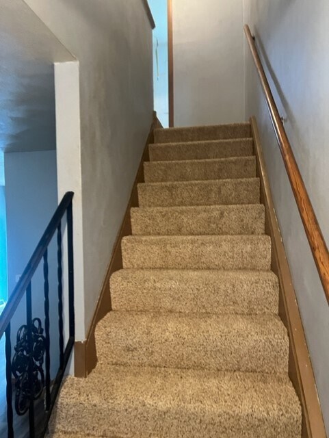 New carpet upstairs - 2432 Cypress Dr