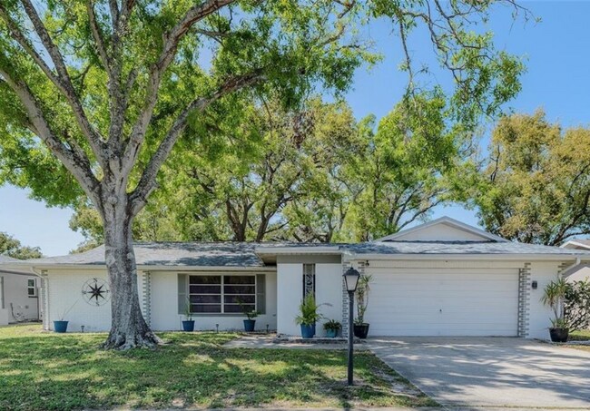 Primary Photo - 3219 Spanish Moss Ln