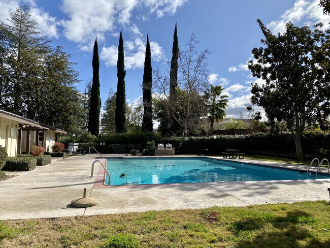 Building Photo - 4971 Ponderosa Ter