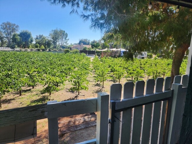 Building Photo - Beautiful Lower Level Studio apartment loc...