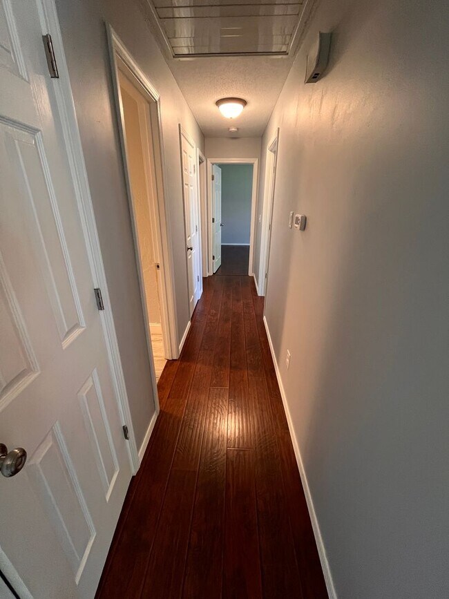 Building Photo - 3-Bed, 2-bath Luxury Southern Hills Designer Home!