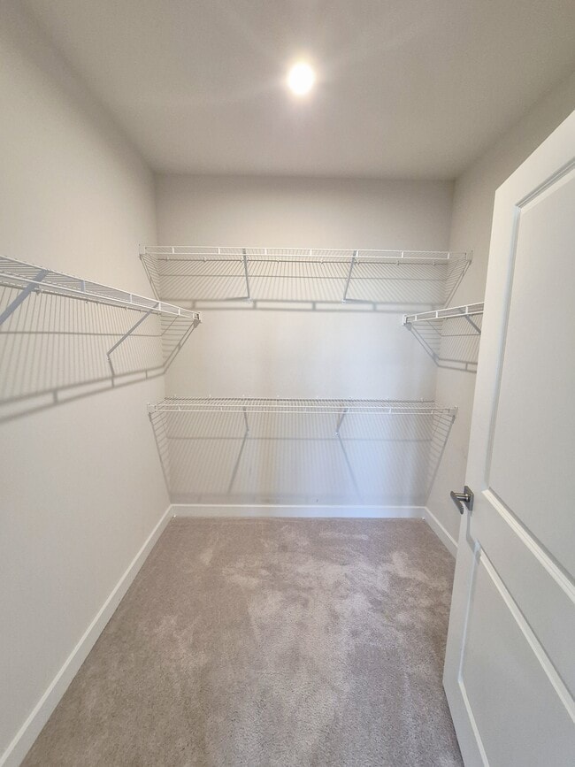 Building Photo - 3700 Maze Runner Dr