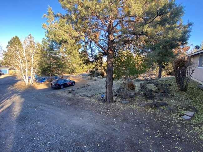 Building Photo - Lovely 3 Bedroom home on 1/2 Acre Lot in N...