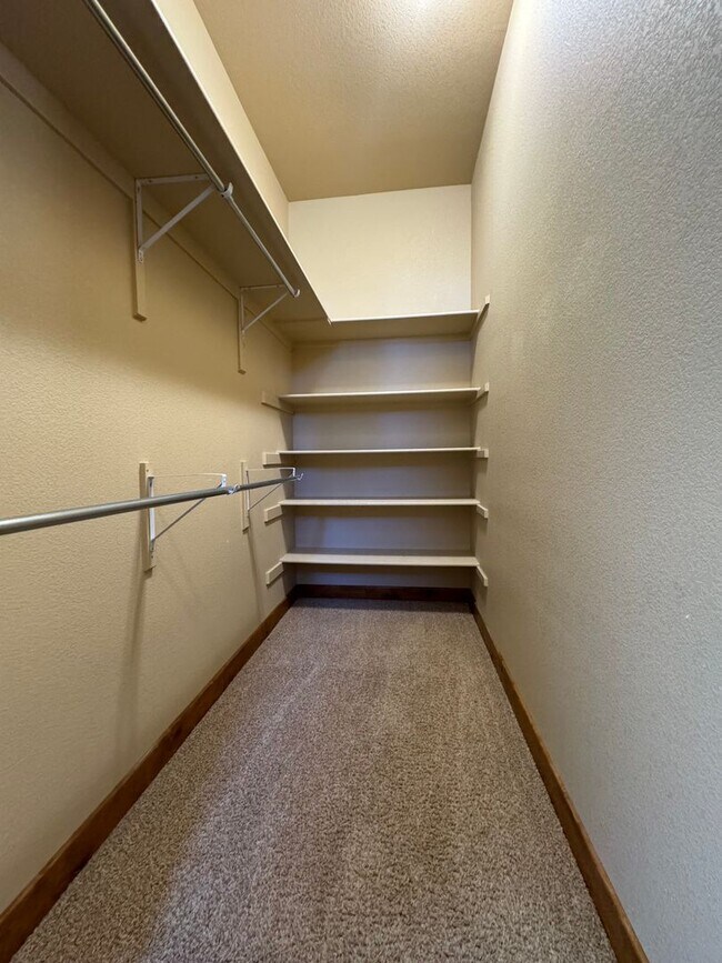 Building Photo - Wonderful Upgraded Home in Timnath Ranch