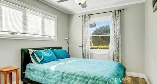 Building Photo - 329 S Grand St