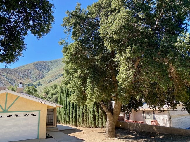 Building Photo - 39216 San Francisquito Canyon Rd