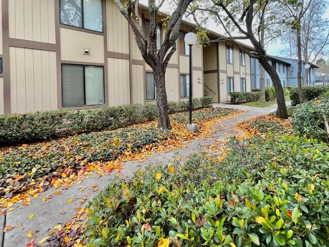 Building Photo - 6292 Joaquin Murieta Ave