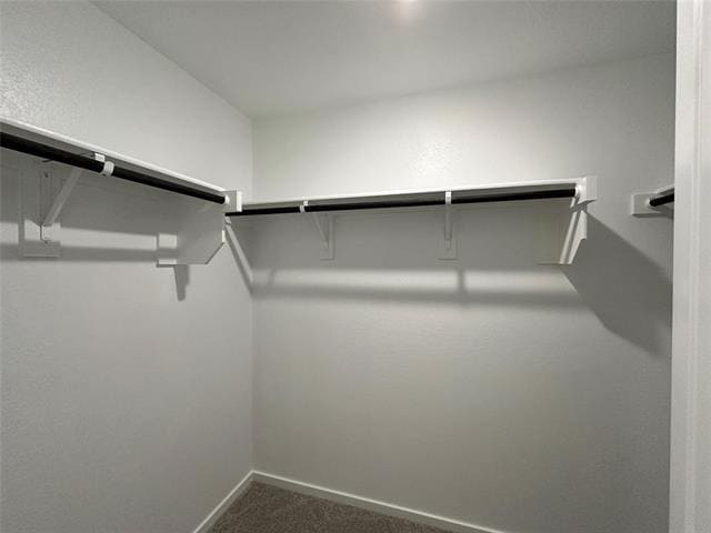 Building Photo - 1429 Erie Dr