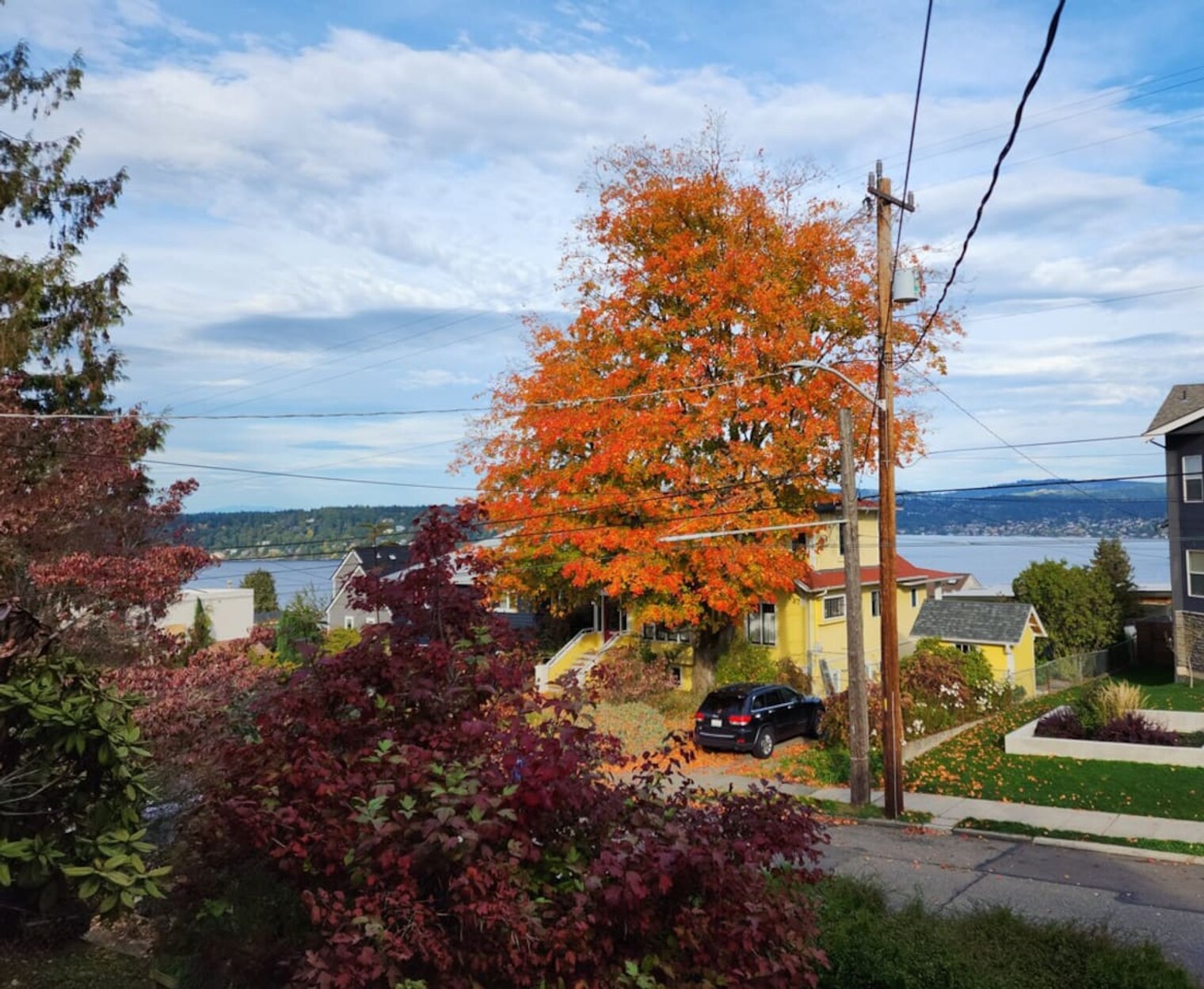 Building Photo - 9813 62nd Ave S