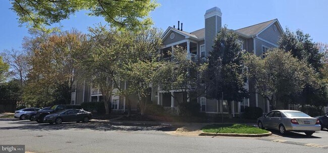 Primary Photo - 1705 Lake Shore Crest Dr