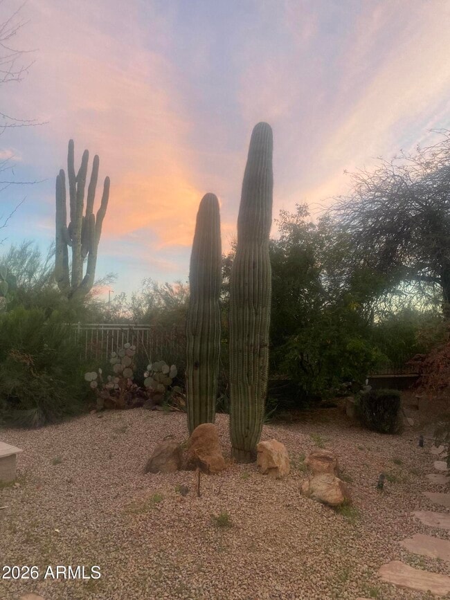 Building Photo - 4439 E Red Range Way