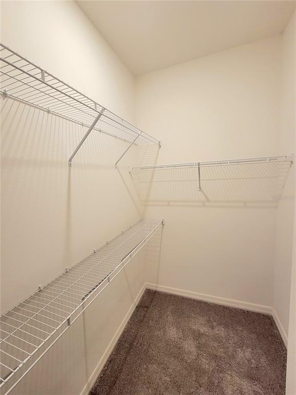 Building Photo - 3984 Sagefield Dr