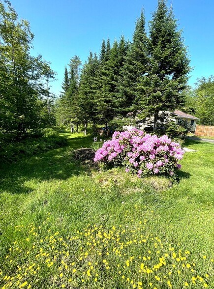 Building Photo - 146 Cathance Rd