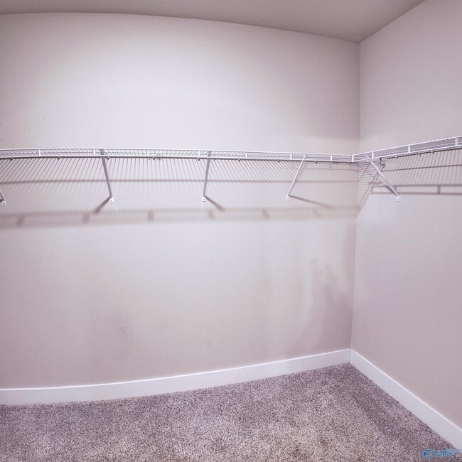 Building Photo - 404 Tillane Pk Cir