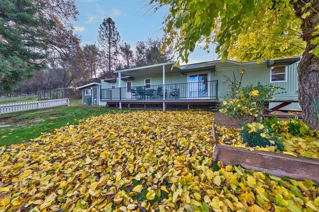 Primary Photo - Cozy 1 Bedroom ADU With Stunning Pasture & Pond Views in Rescue!