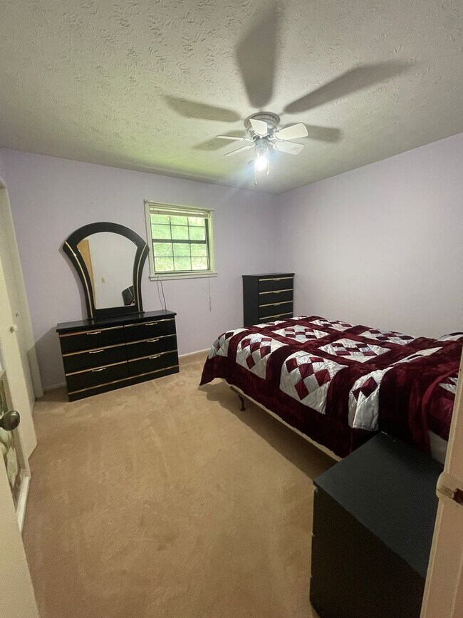 Building Photo - Walking Distance to the Parkway!