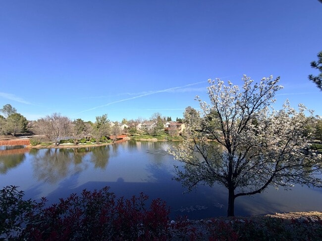 Building Photo - Beautiful Lakefront Home in the Vineyard! 55+ community