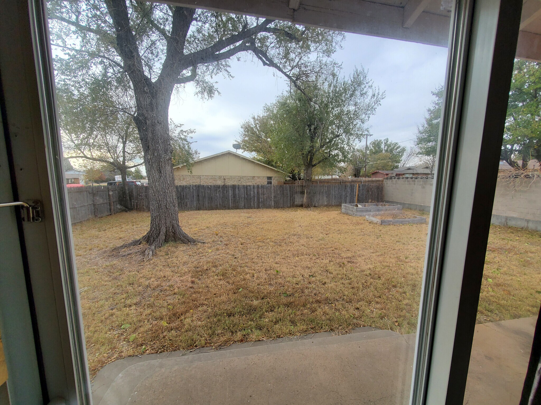 Back yard - 121 Warwick St