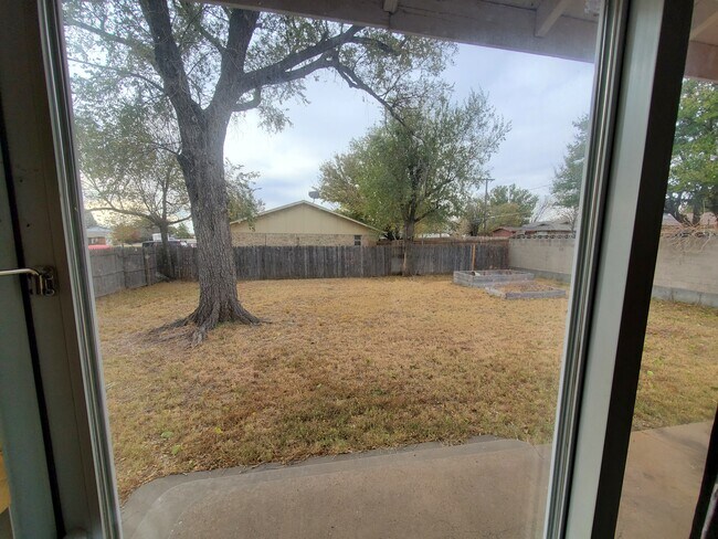 Back yard - 121 Warwick St