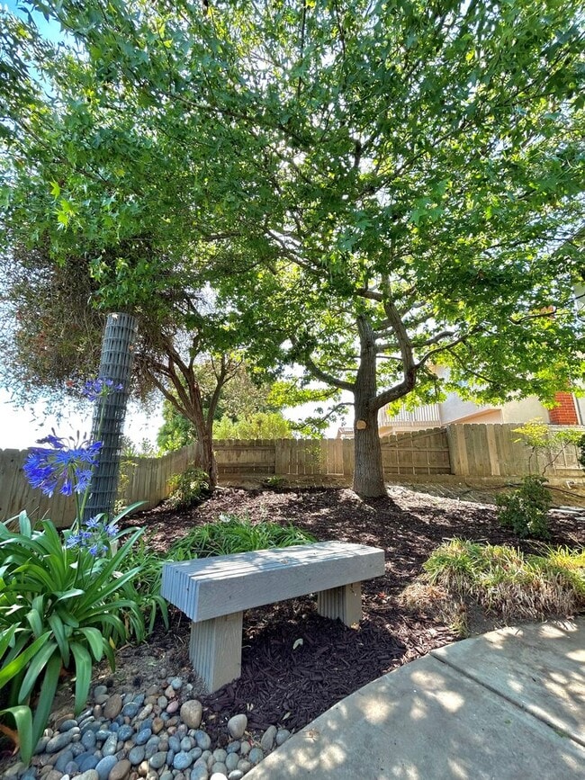 Building Photo - Beautiful fully remodeled home in sunny San Diego!