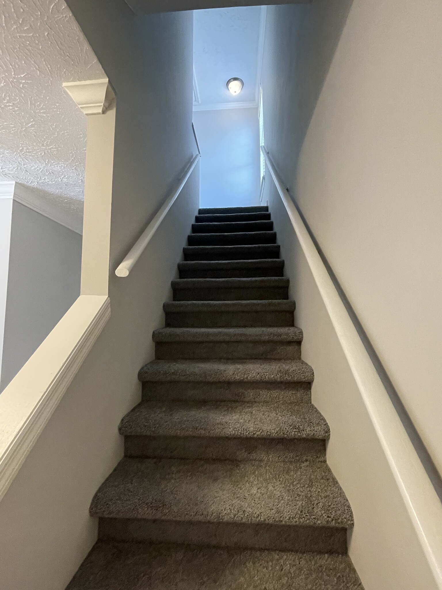 brand new carpets upstairs - 182 Willow Stream Ct