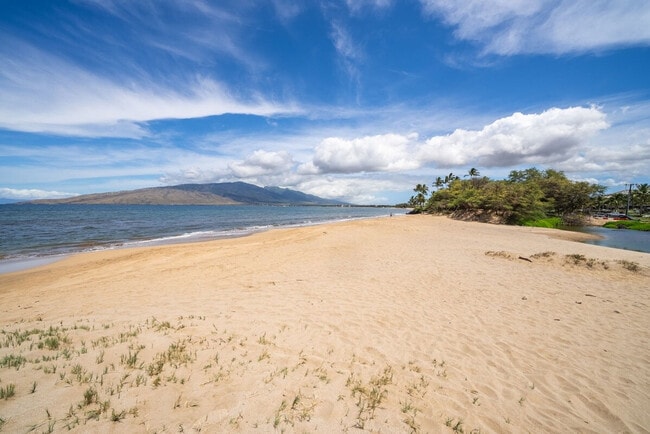 Building Photo - 679 S Kihei Rd
