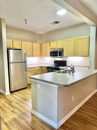 Building Photo - 4 Bedroom, 4 Bath Condo