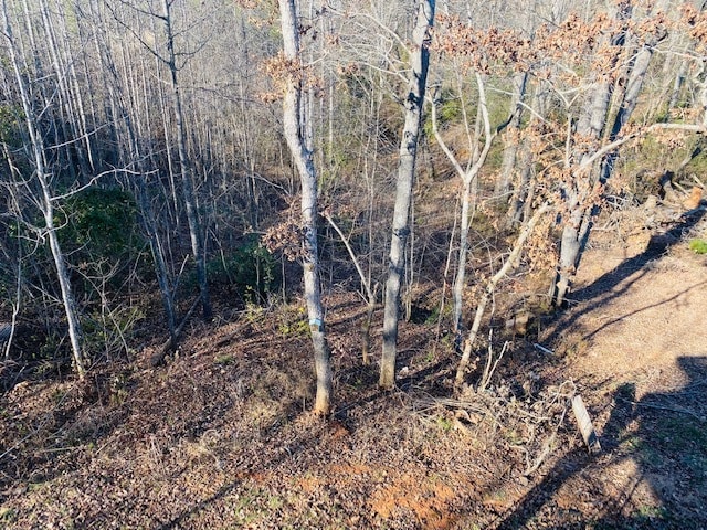 Building Photo - 116 Bufflehead Cir