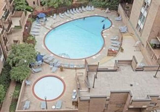 Building Photo - Luxury and fully updated studio in America...