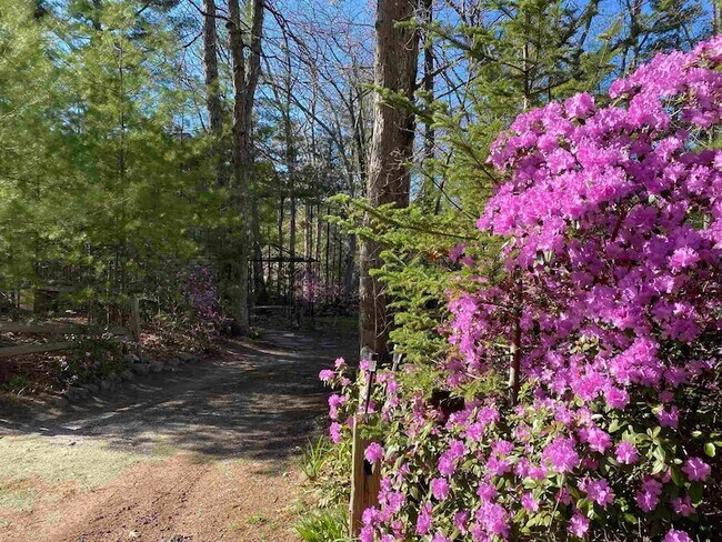 Building Photo - 14 Car Mar Ln