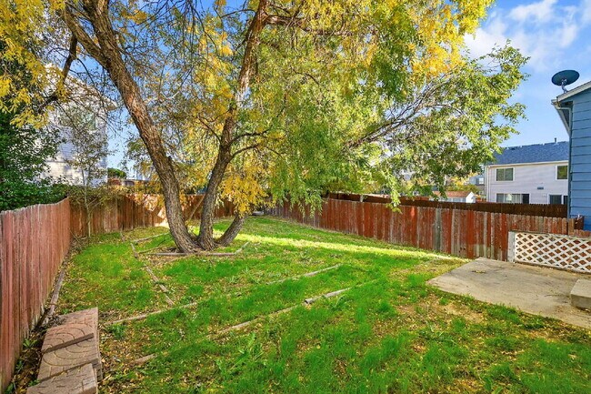 Building Photo - $2,495.00, 3 Bed, 2 bath located in Brighton.