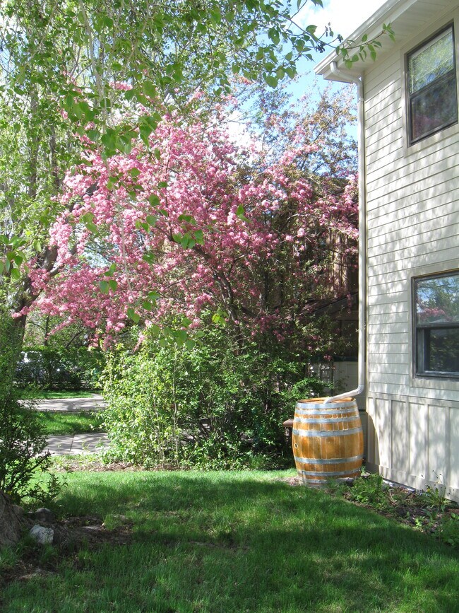 Building Photo - 2002 S Black Ave