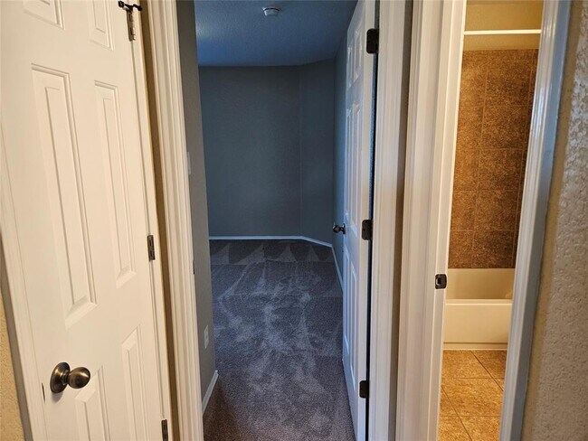 Building Photo - 11109 Persimmon Gap Dr