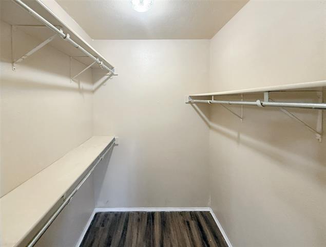 Building Photo - 7612 Nutwood Pl