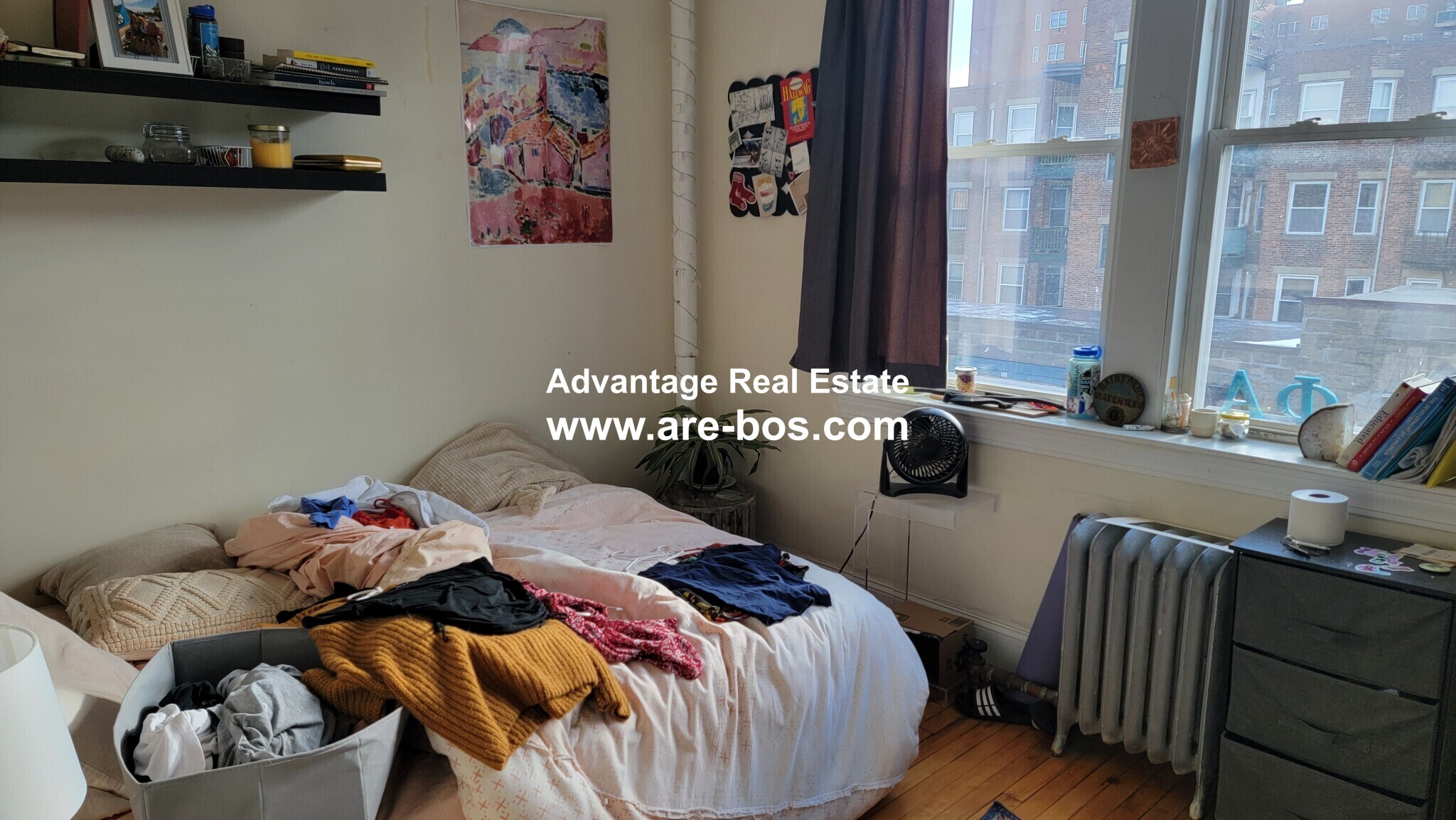 Building Photo - 66 Egmont St