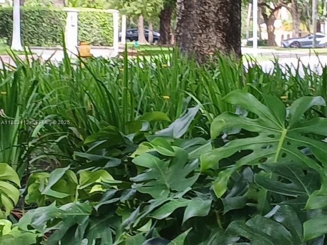 Building Photo - 2828 Segovia St