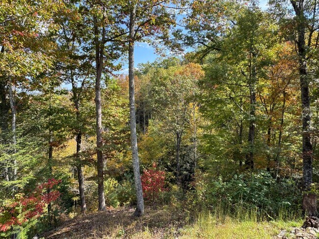 Building Photo - PEACEFUL LIVING.....SECLUSION! Move in ready!!!