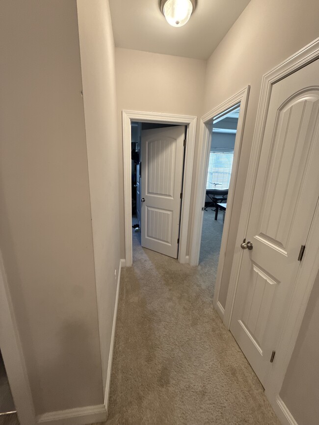 Building Photo - 1005 Clydesdale Ct