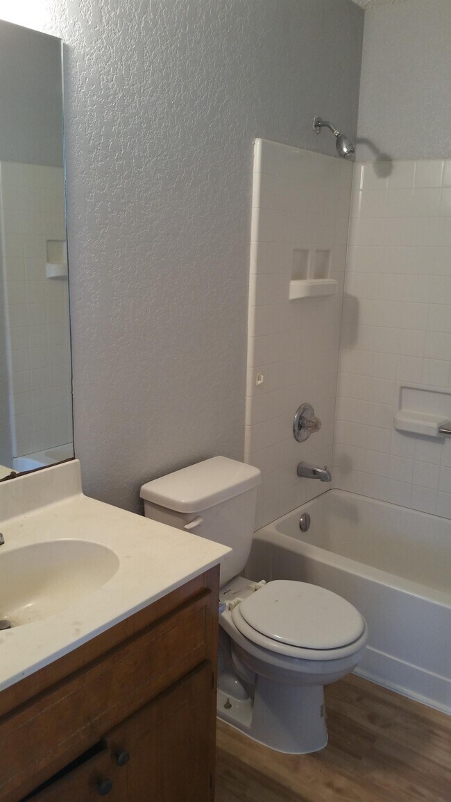 Building Photo - 2602 Cactus Dr