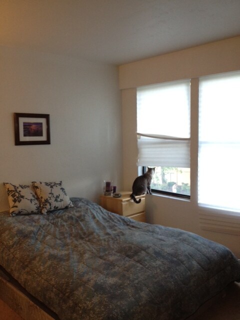 Building Photo - 1441 Lincoln Ave