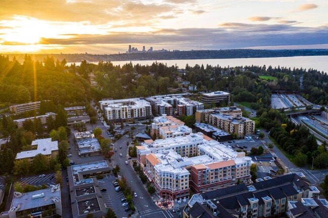 Building Photo - The Mercer Apartment Homes