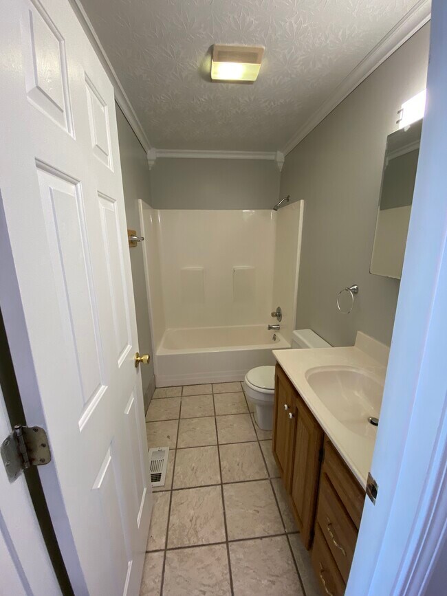 Upstairs Bathroom - 569 Campbells Creek Dr