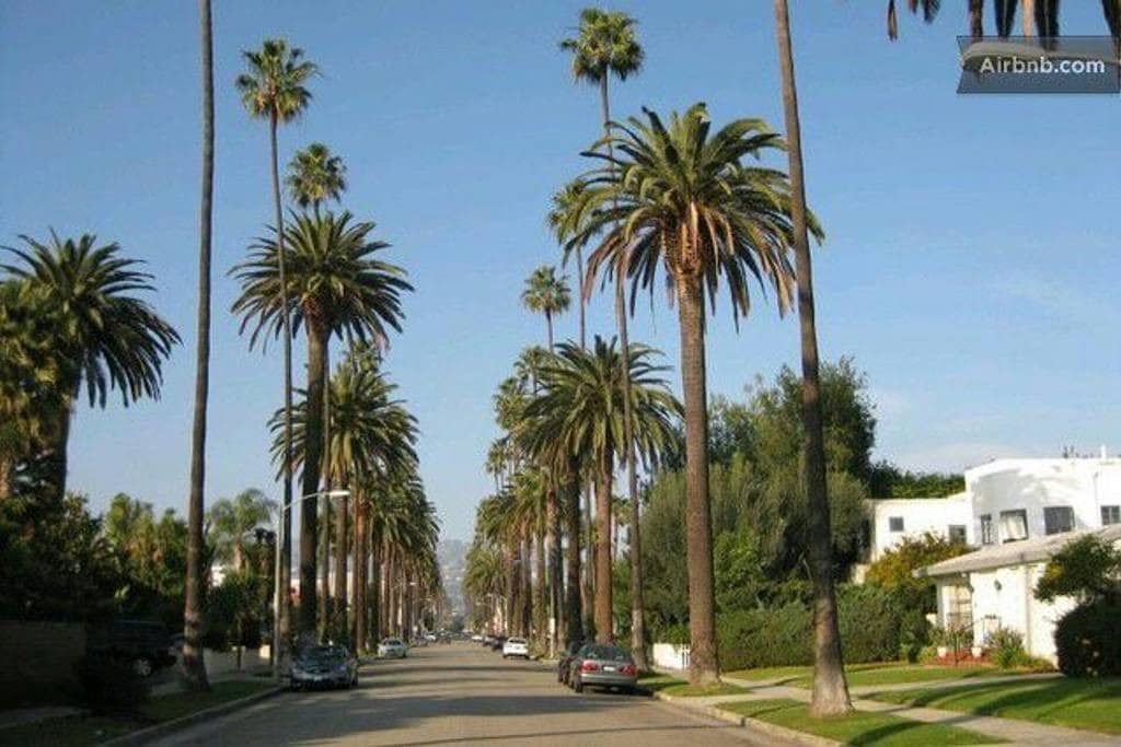 carson road beverly hills - 223 S Carson Rd