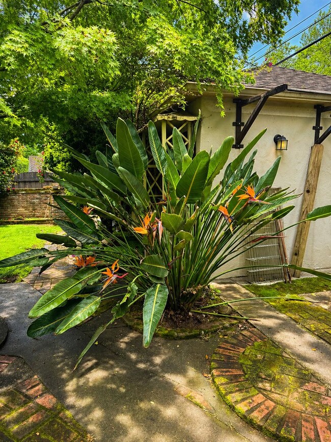 Building Photo - Adorable Home in Land Park Area of Sacramento
