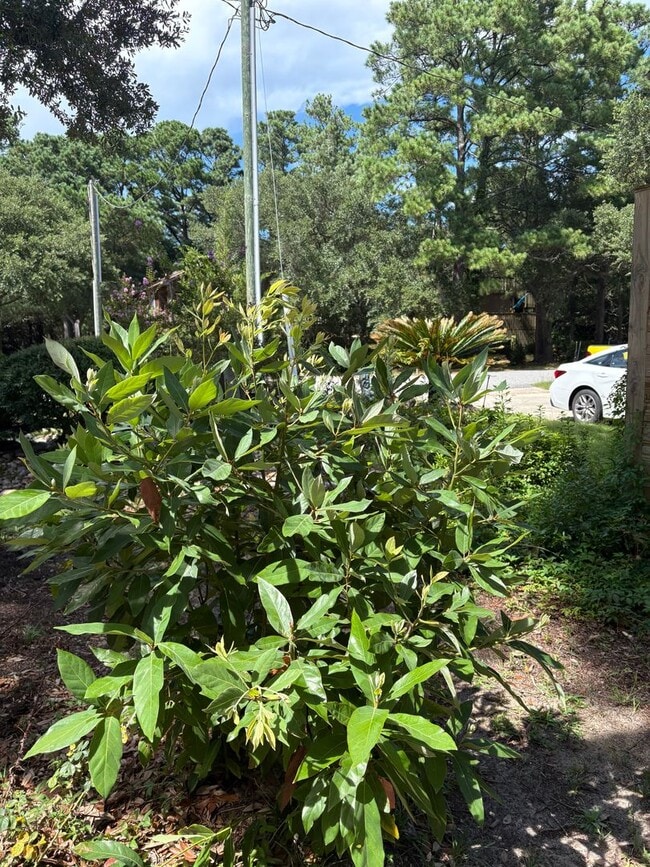 Building Photo - Available now for 12 month lease! 2150 per month (no pets)